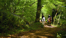Ireland-Kilkenny-Mount Juliet Equestrian, Golf and Spa Retreat